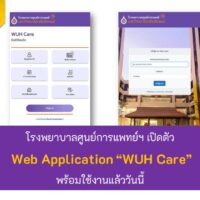 web App